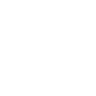 Sankofa
